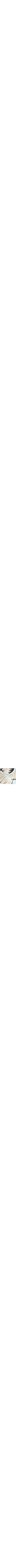 Bleu à motifs