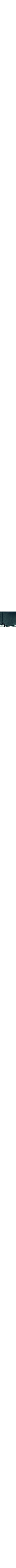 Vert à motifs