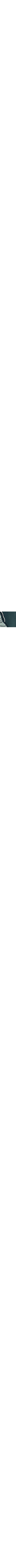 Vert à motifs