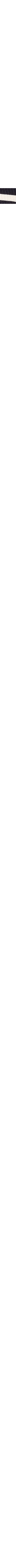 Ivoire à motifs