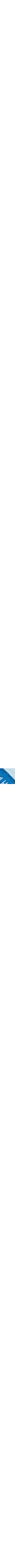 Patterned Blue