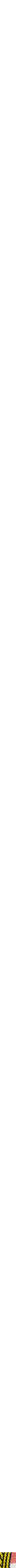 Assorti