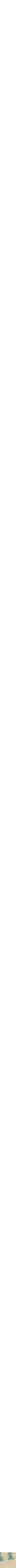 Assorti