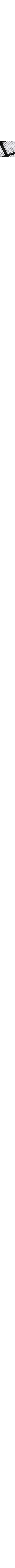 Noir à motifs
