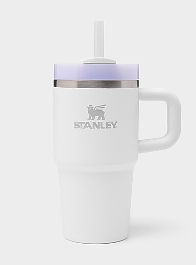 Le gobelet The Quencher H2.0 20 z