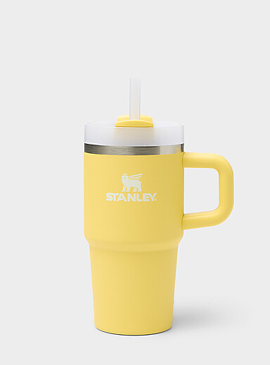 Le gobelet The Quencher H2.0 20 z