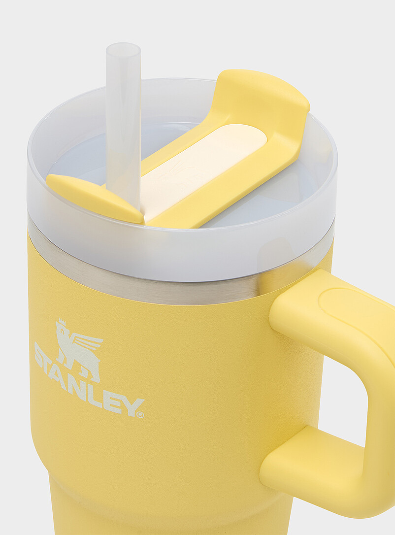 Stanley: Le gobelet The Quencher H2.0 20 z Blanc cass&eacute; pour femme