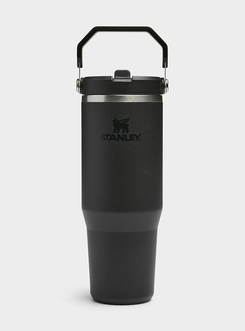 Flip Straw 30 Oz Insulated Handle Tumbler