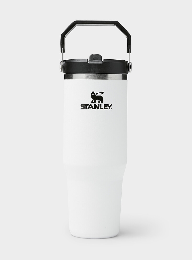 Flip Straw 30 Oz Insulated Handle Tumbler