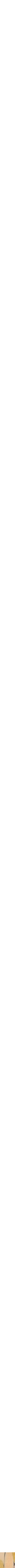 Assorti