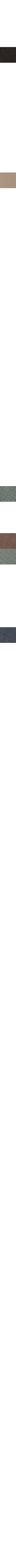 Blanc cassé