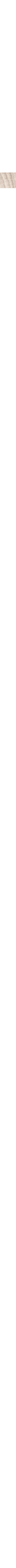 Blanc cassé