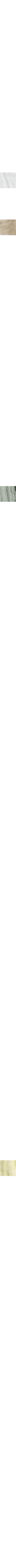 Ecru/Linen