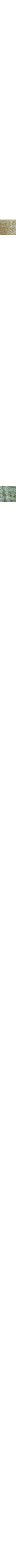 Écru - Lin