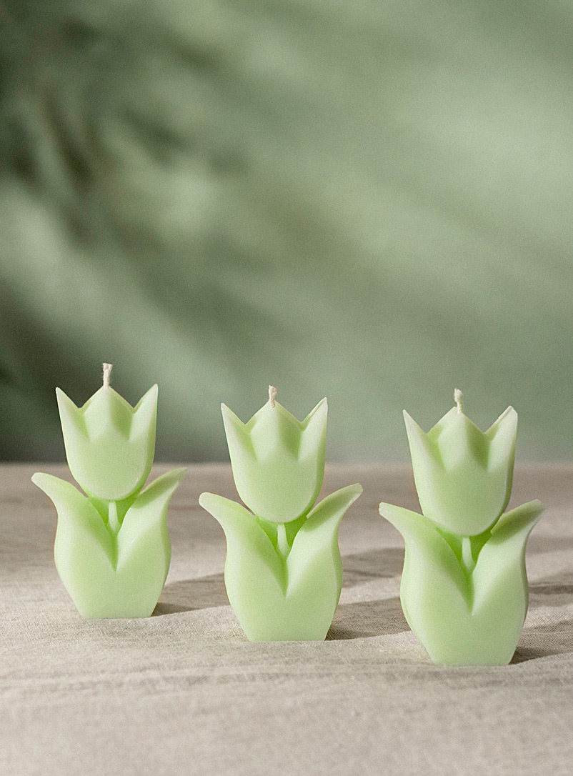 Ilo atelier Eucalyptus and mint Tulips scented candle set