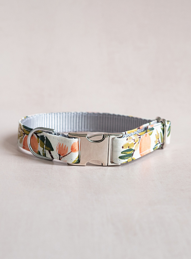 The Rover Boutique Assorted yellow  Colourful pattern dog collar See available sizes