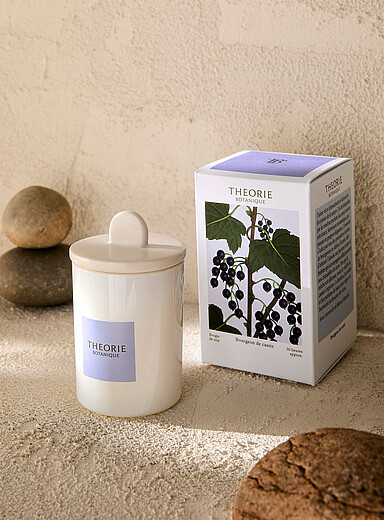 La bougie de soya parfum&eacute;e Bourgeon de cassis