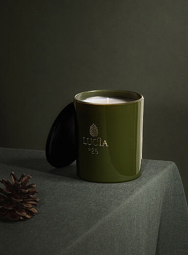 Pin Douglas scented soy candle