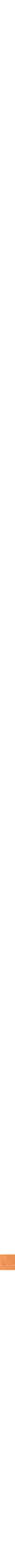 Miel d'oranger
