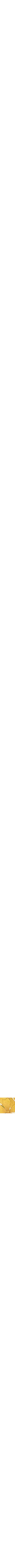 Verveine odorante
