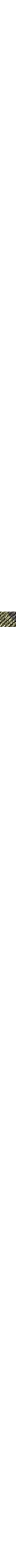 Vert à motifs