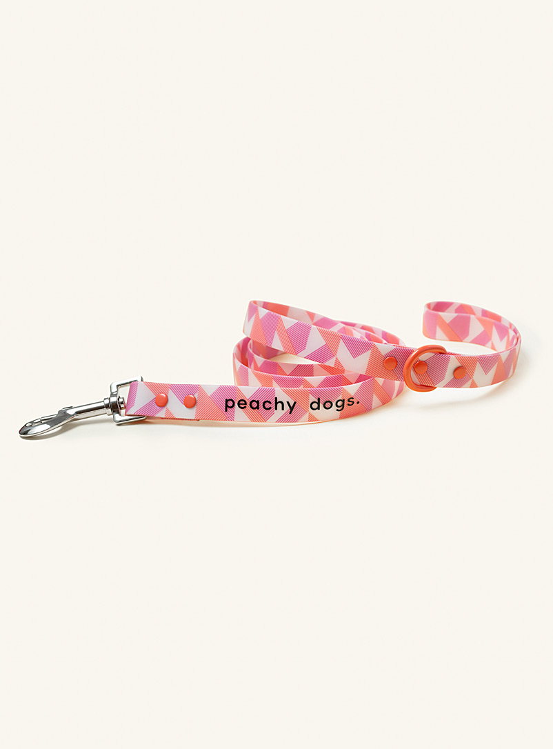 Peachy Dogs Pink Classic coated leash