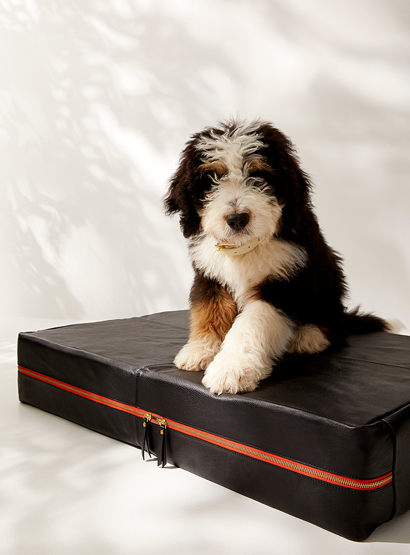 Le Dog Company: Le lit pour chien en cuir Le Bed Voir nos formats offerts Noir