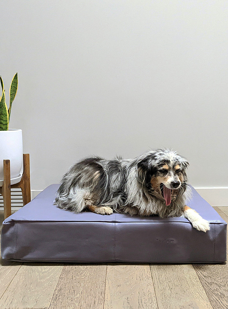 Le Dog Company: Le lit pour chien en cuir Le Bed Voir nos formats offerts Gris