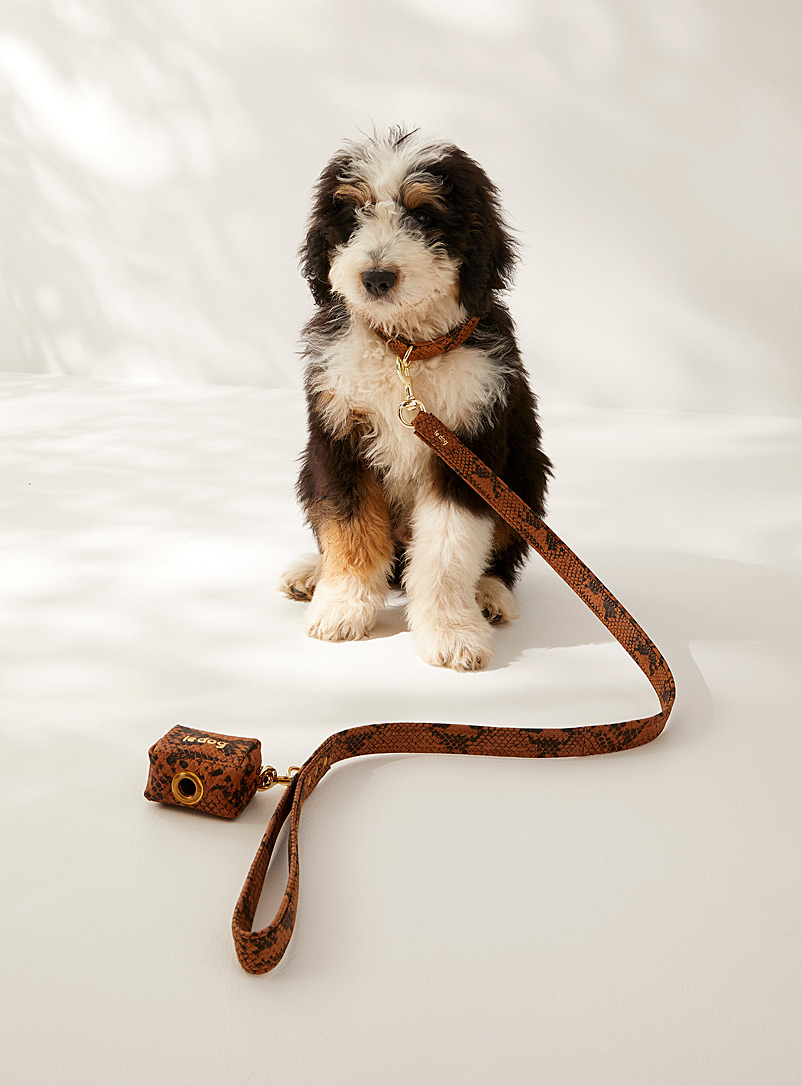 Le Dog Company Patterned Brown Cushioned leather leash