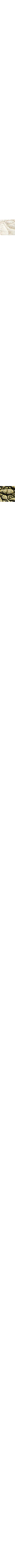 Écru - Lin