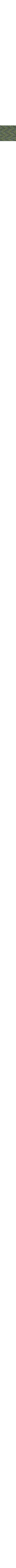 Gris à motifs