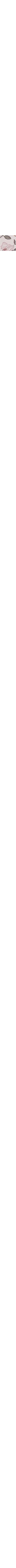 Écru à motifs