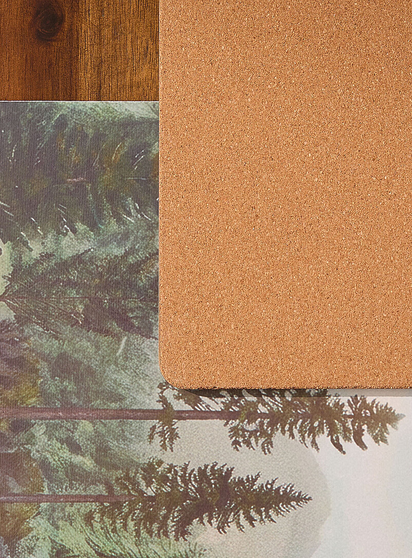 Nature landscape laminated cork placemats Set of 4 product image 2