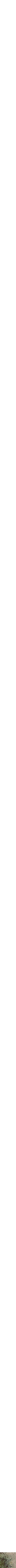 Assorti