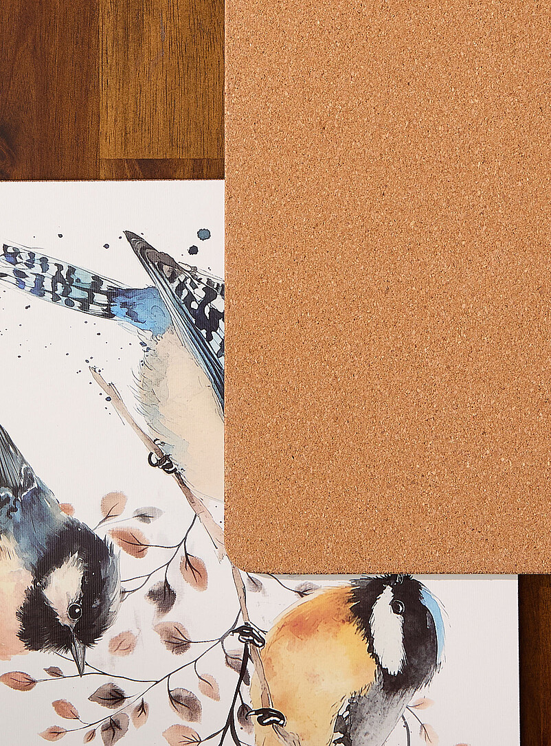 Forest birds laminated cork placemats Set of 4 product image 2