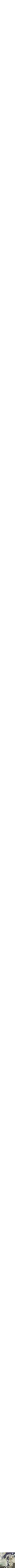 Assorti