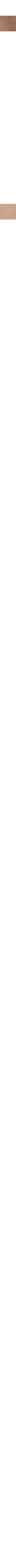 Beige - Grège
