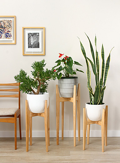 Le support &agrave; plantes en &eacute;rable
