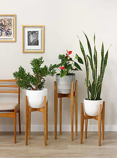 Le support &agrave; plantes en ch&ecirc;ne blanc