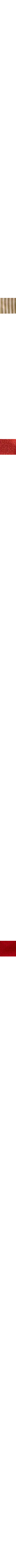 Blanc à motifs