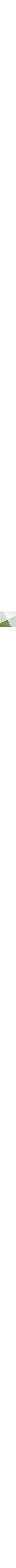 Vert à motifs
