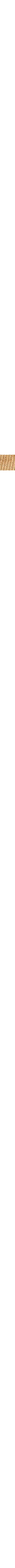 Brun à motifs