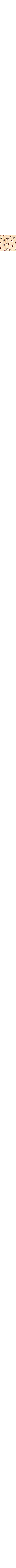 Écru à motifs