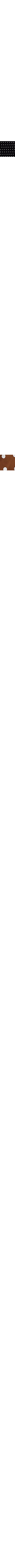 Brun à motifs