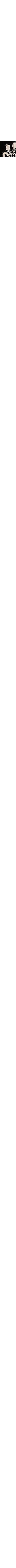 Noir à motifs