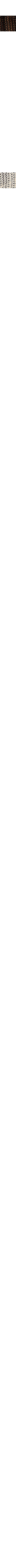 Blanc cassé