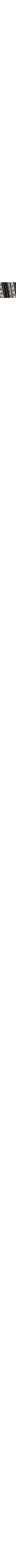 Blanc et noir