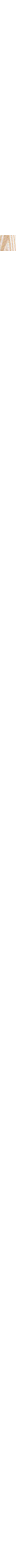 Écru à motifs