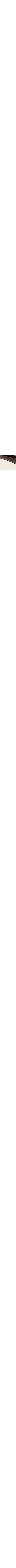 Brun à motifs