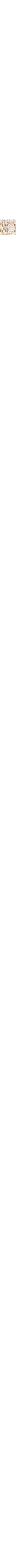 Ecru/Linen